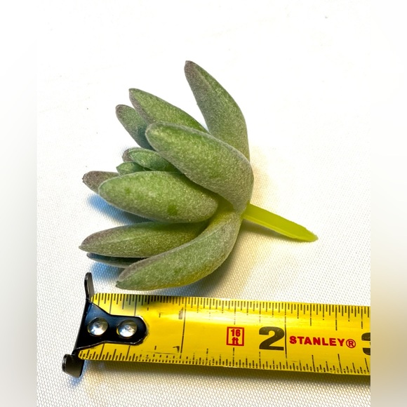 Artificial 20 Succulents Plants Fake Unpotted Decoration Realistic Faux - Picture 16 of 17